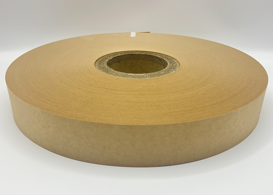 Paper Strapping Band